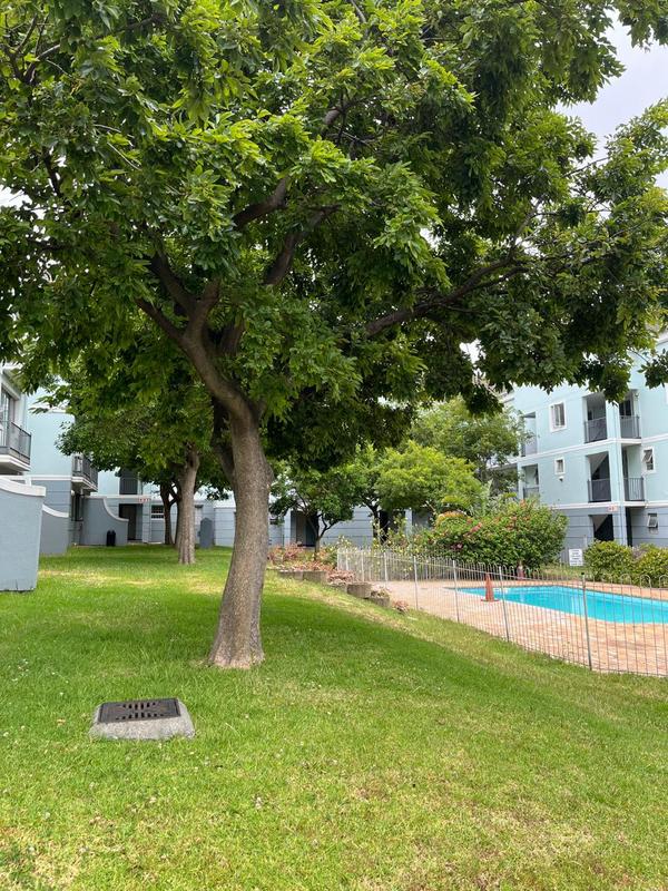 2 Bedroom Property for Sale in Observatory Western Cape